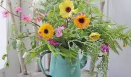 插花视频,跟随视频学习插花技巧