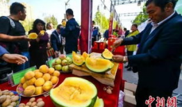 邵阳最新吃瓜爆料事件,神秘事件背后真相揭晓！